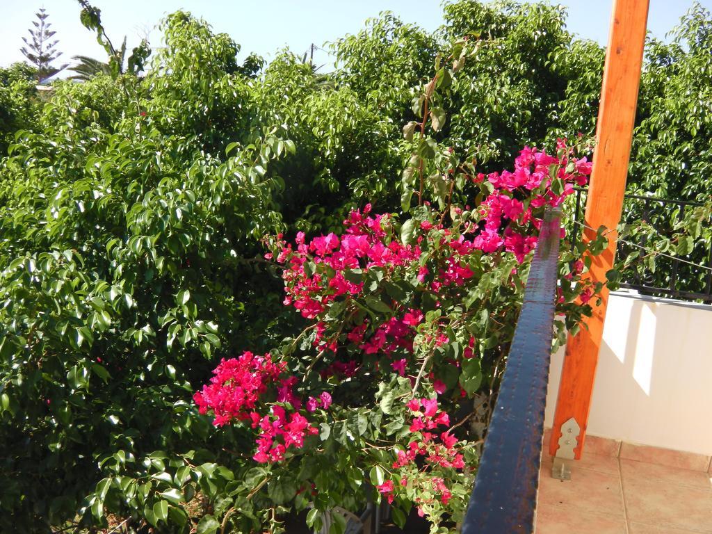 Serenity Hideaway Palaiochora Cameră foto