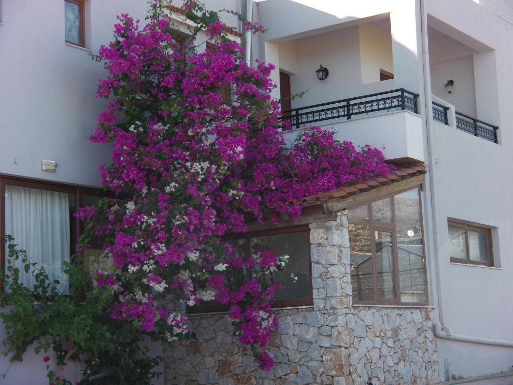 Serenity Hideaway Palaiochora Cameră foto